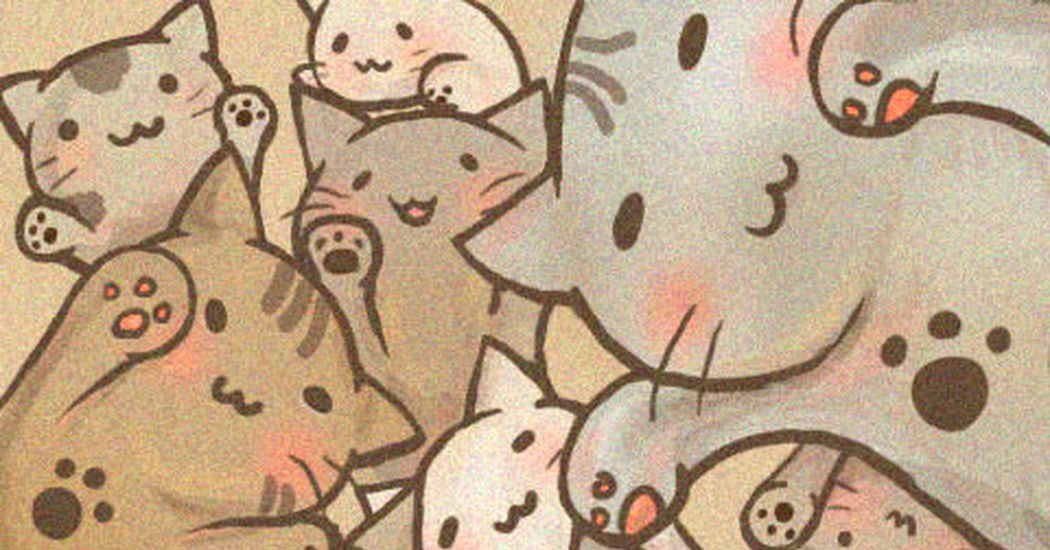 Paw Pads!!!