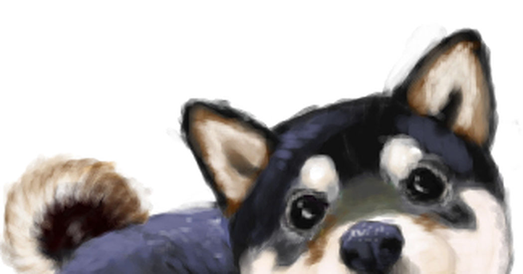 最高のイラスト画像 ベスト50 柴犬 可愛い イラスト