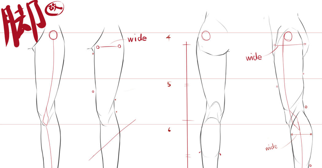 How to Draw Legs – Skillfully Draw Hip Joints, Knees and Leg Muscles