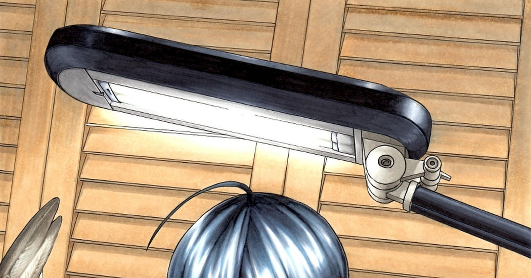 Bakuman Collection!