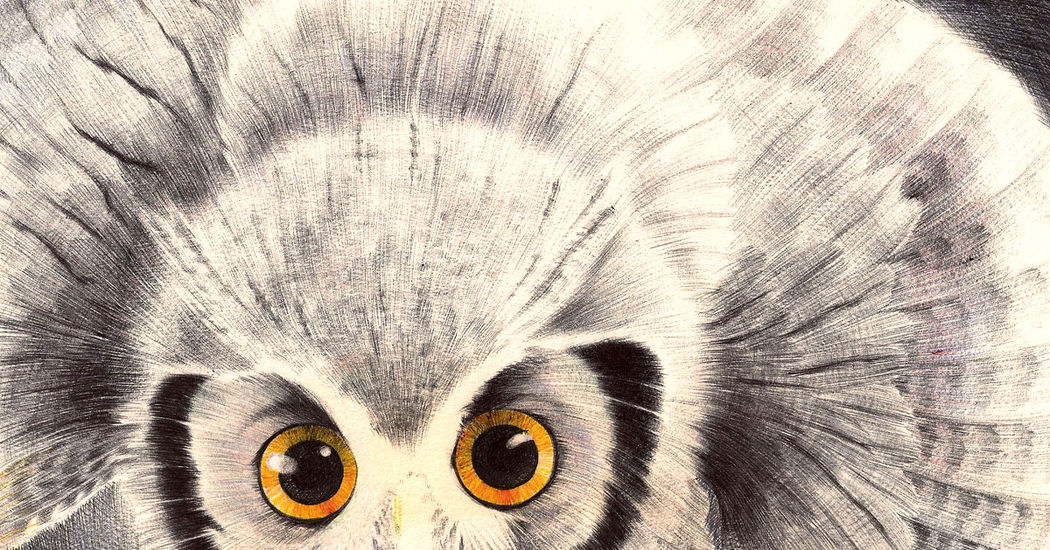 Down to the Finest Detail! The Miracle of the Ballpoint Pen
