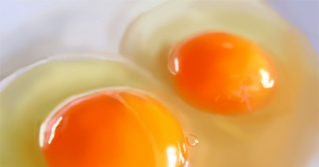 Today is “Have a Nice Egg” Day!