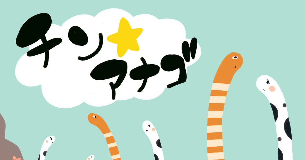 Adorable Garden Eels!! Chin-anago Day!