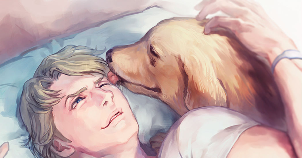 Dog Lovers Day!!