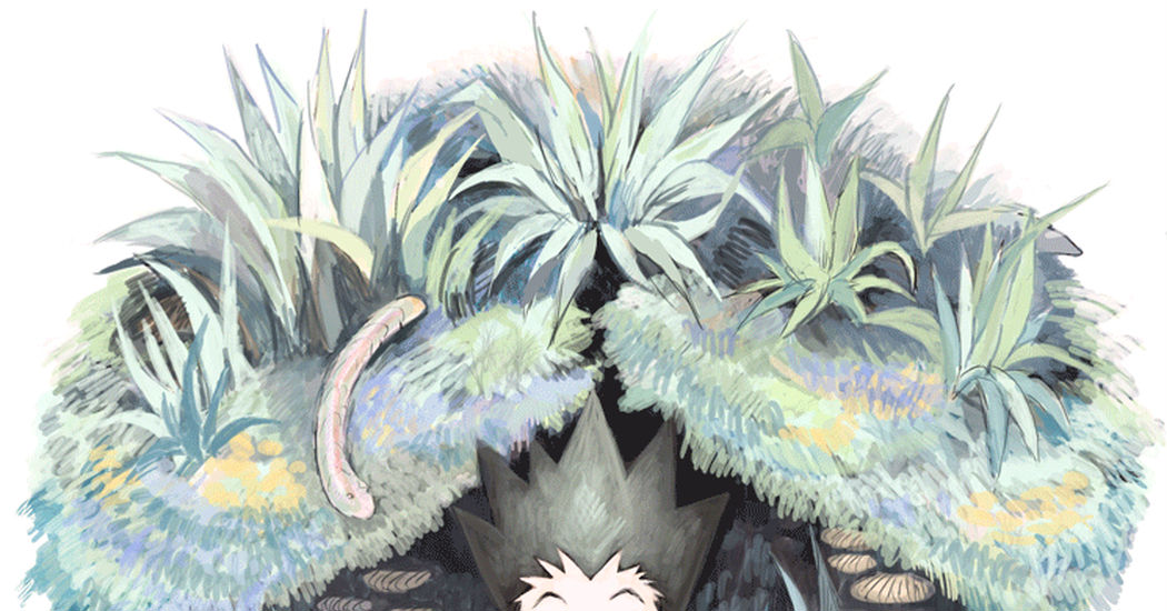 "HUNTER×HUNTER" is Back!