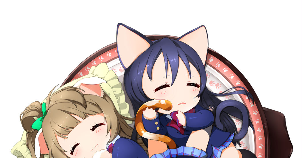 Hot Pots... with Cats!? Or Not?!