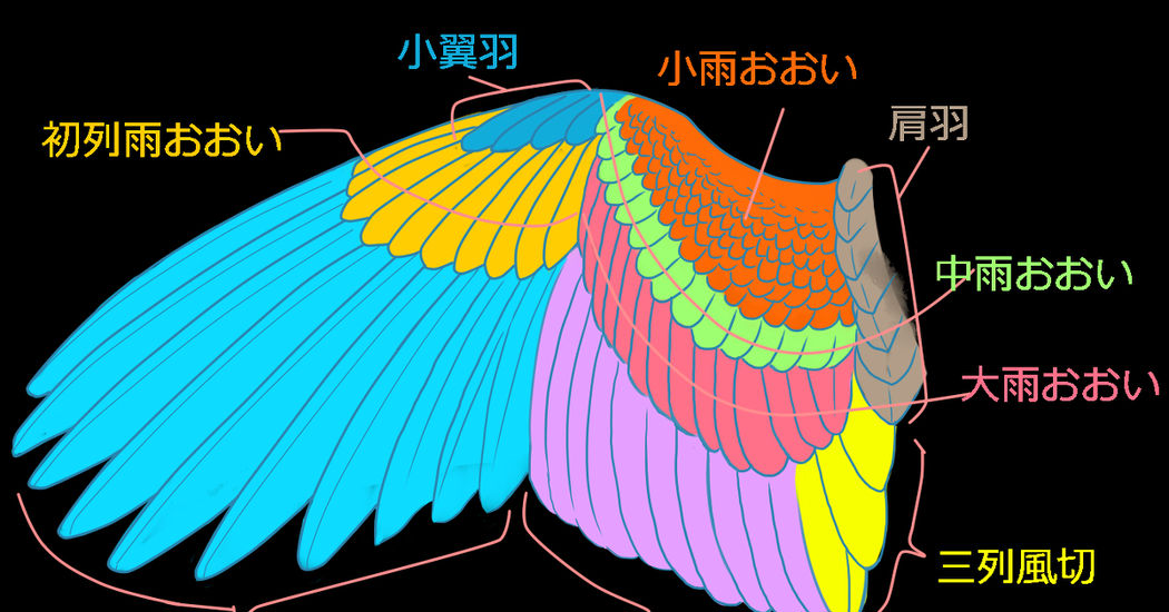 How to Draw: 10 Ways To Draw Wings!