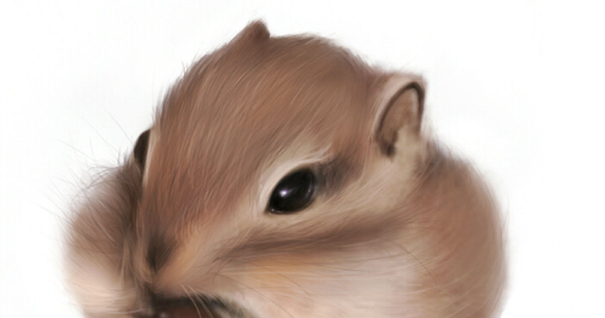 美しい花の画像 100 Epic Bestかわいい リス イラスト 簡単