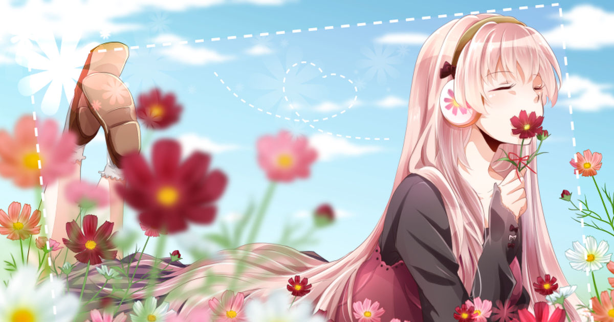 Day of Softly Swaying Cosmos Flowers!