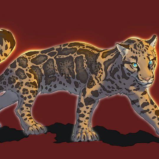 ウンピョウ うんぴょう とは ピクシブ百科事典