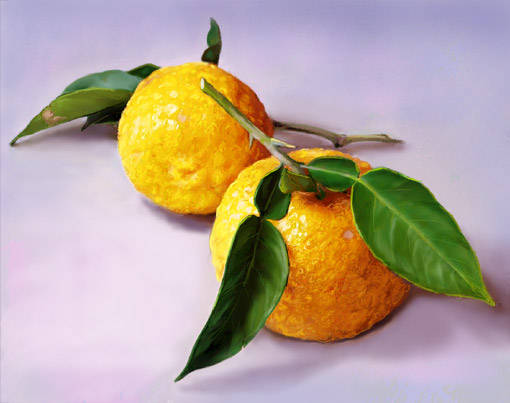 柚子 ゆず とは ピクシブ百科事典