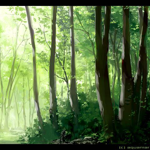 森 もり とは ピクシブ百科事典