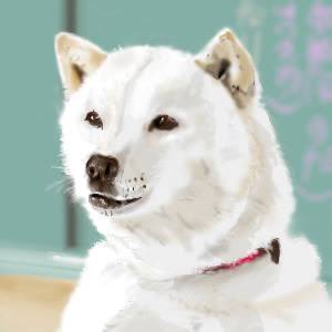 ソフトバンク そふとばんく とは ピクシブ百科事典