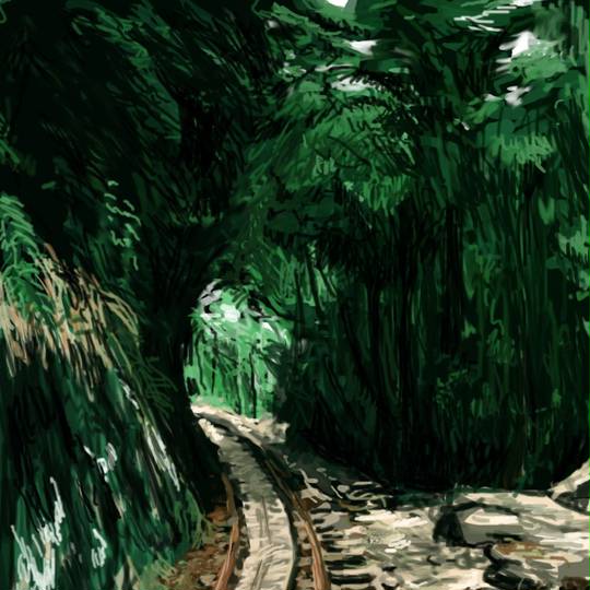 屋久島 やくしま とは ピクシブ百科事典