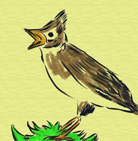 ヒバリ ひばり とは ピクシブ百科事典 ヒバリ ひばり とは ピクシブ百科事典