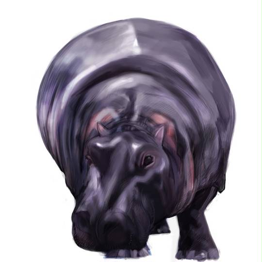 カバ科 かばか とは ピクシブ百科事典 カバ科 かばか とは ピクシブ百科事典