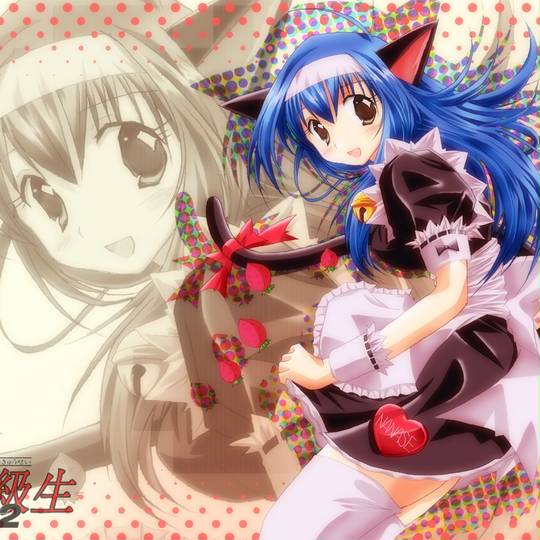 下級生2 かきゅうせいつー とは ピクシブ百科事典