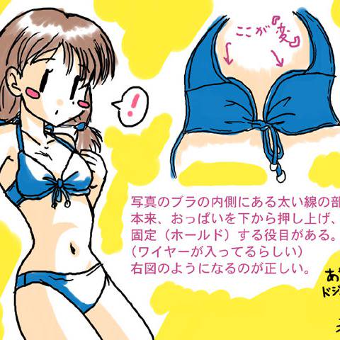 Ayastyle あやすたいる とは ピクシブ百科事典