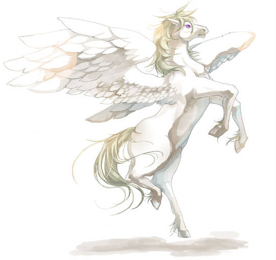 天馬 てんま とは ピクシブ百科事典