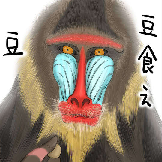 マンドリル まんどりる とは ピクシブ百科事典