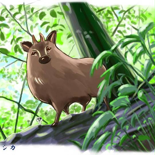 カモシカ かもしか とは ピクシブ百科事典