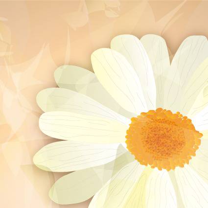 マーガレット まーがれっと とは ピクシブ百科事典