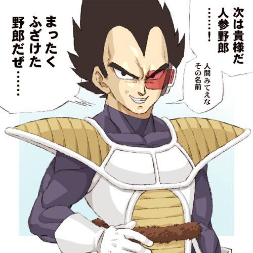 ベジータ様のお料理地獄 (べじーたさまのおりょうりじごく)とは  