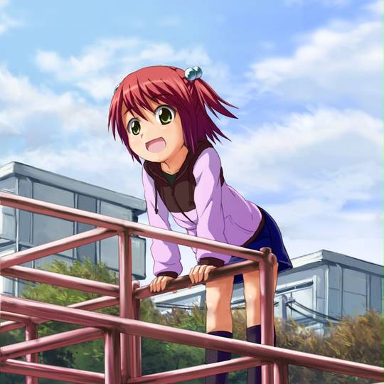 ジャングルジム じゃんぐるじむ とは ピクシブ百科事典