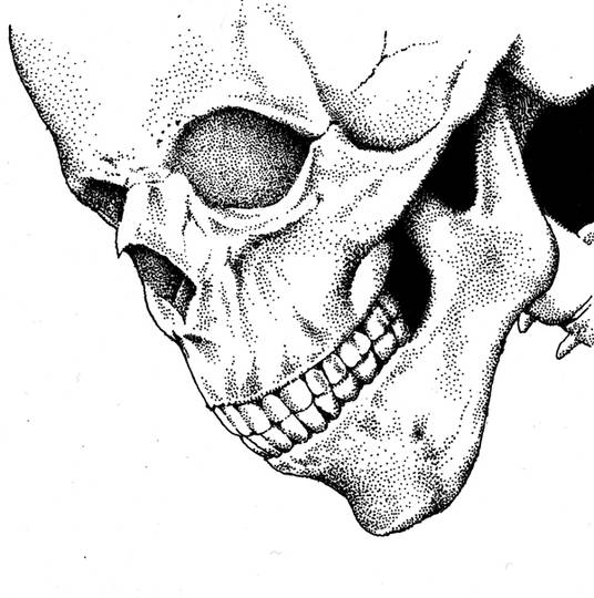 髑髏 どくろ とは ピクシブ百科事典