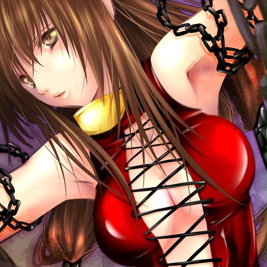 ドミナ どみな とは ピクシブ百科事典