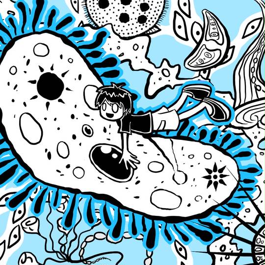 ゾウリムシ ぞうりむし とは ピクシブ百科事典