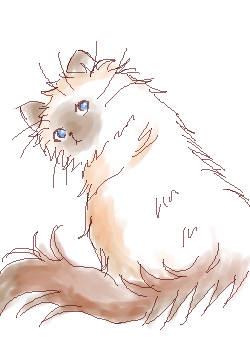 カルピン かるぴん とは ピクシブ百科事典