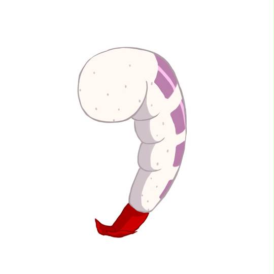 ムキエビ先輩 むきえびせんぱい とは ピクシブ百科事典
