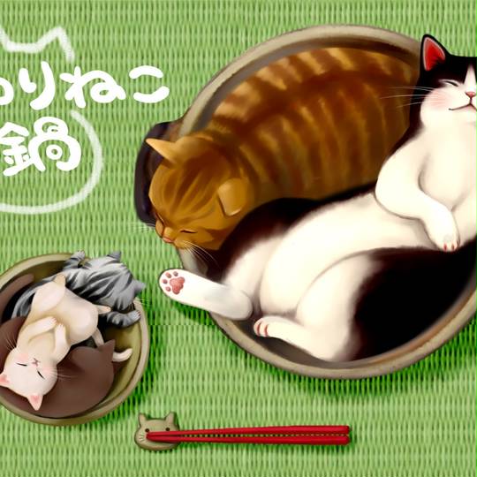 仲良し猫鍋♡ ひんやり猫鍋 2021 – にゃんぱら