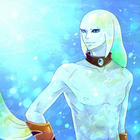 ゾーラリンク ぞーらりんく とは ピクシブ百科事典