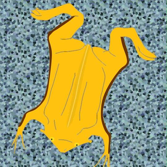 ピパピパ ぴぱぴぱ とは ピクシブ百科事典