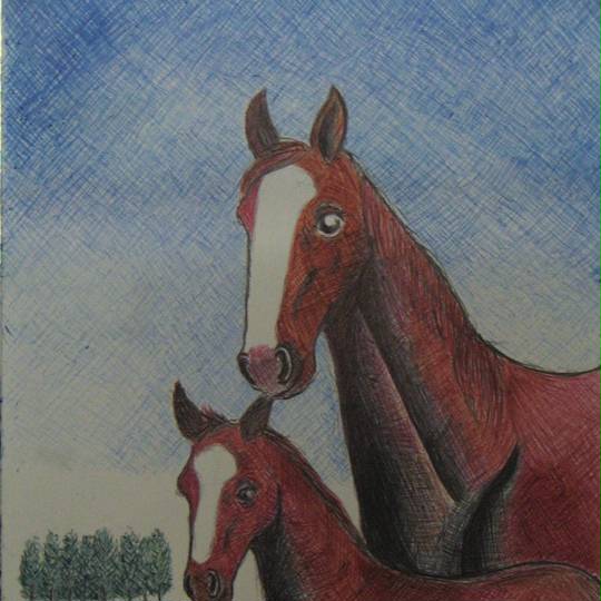 繁殖牝馬 はんしょくひんば とは ピクシブ百科事典 繁殖牝馬 はんしょくひんば とは ピクシブ百科事典