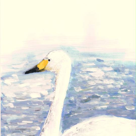 白鳥 はくちょう とは ピクシブ百科事典