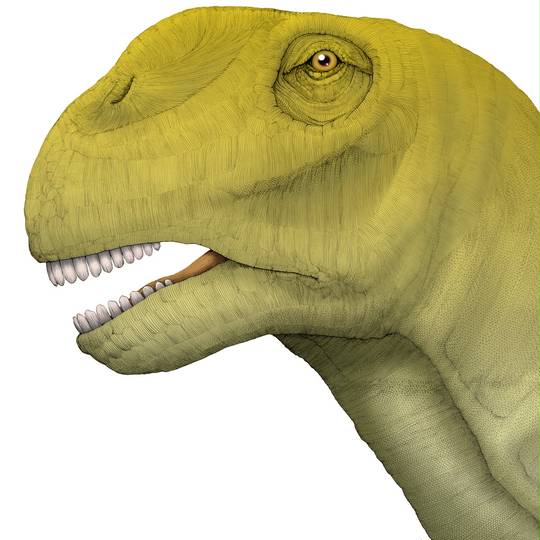 ティタノサウルス てぃたのさうるす とは ピクシブ百科事典