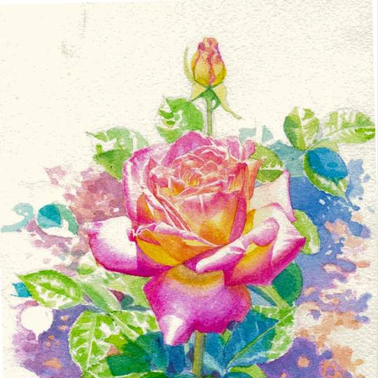 ローズ ろーず とは ピクシブ百科事典