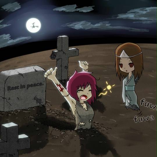 墓石 はかいしまたはぼせき とは ピクシブ百科事典