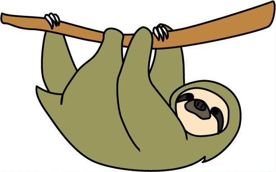 ナマケモノ なまけもの とは ピクシブ百科事典 ナマケモノ なまけもの とは ピクシブ百科事典