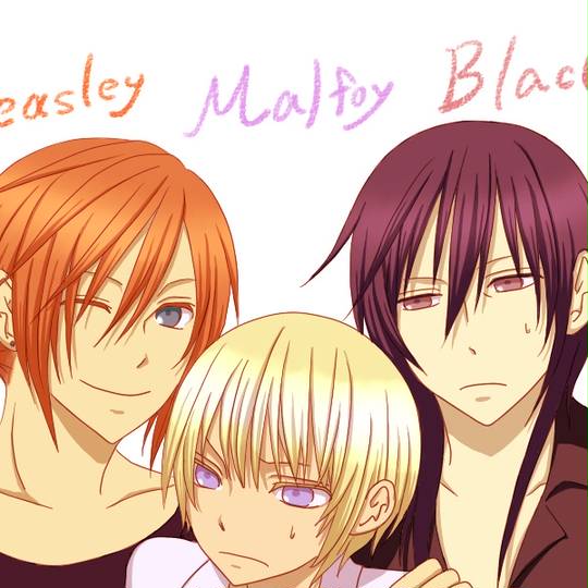 純血 ウィザーディング ワールド ぴゅあぶらっど とは ピクシブ百科事典