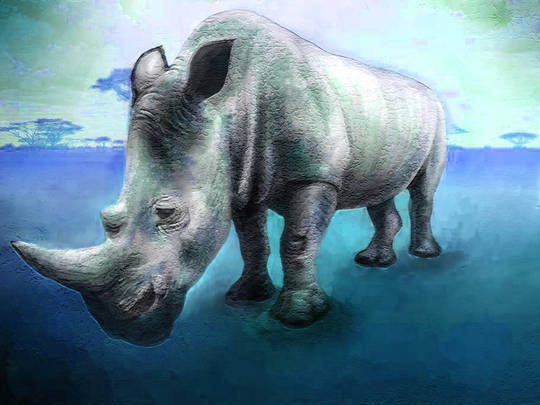 犀牛 しぃーにう とは ピクシブ百科事典