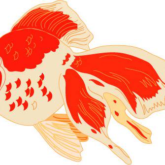 キンギョ (きんぎょ)とは【ピクシブ百科事典】