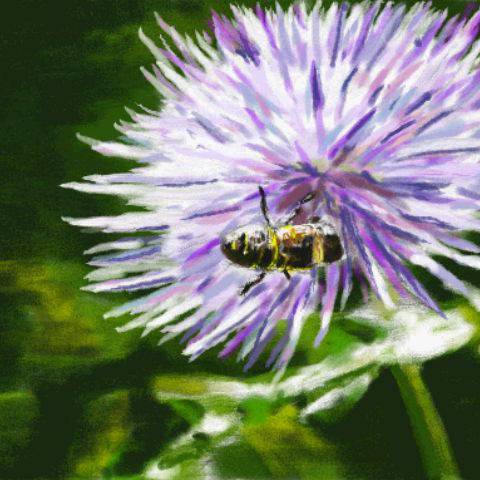 アザミ あざみ とは ピクシブ百科事典