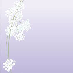 花言葉 はなことば とは ピクシブ百科事典 花言葉 はなことば とは ピクシブ百科事典