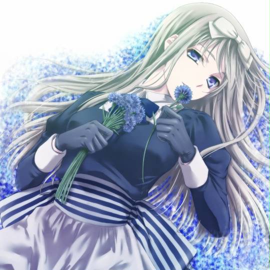 ヘタリア ドームマグネット ベラルーシ（「ヘタリア The World
