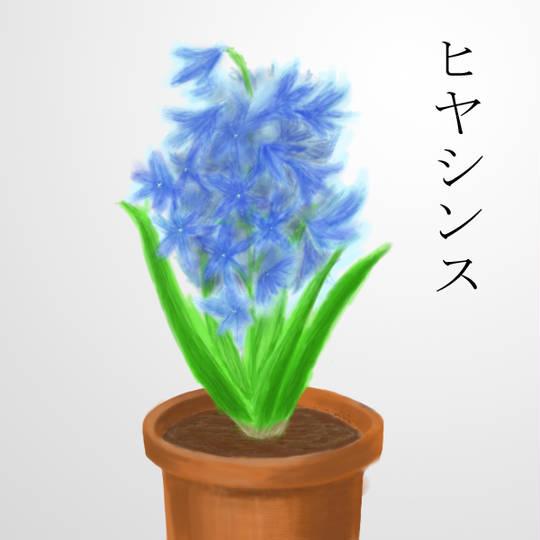 ヒヤシンス ひやしんす とは ピクシブ百科事典