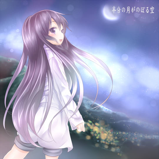 半分の月がのぼる空 はんぶんのつきがのぼるそら とは ピクシブ百科事典